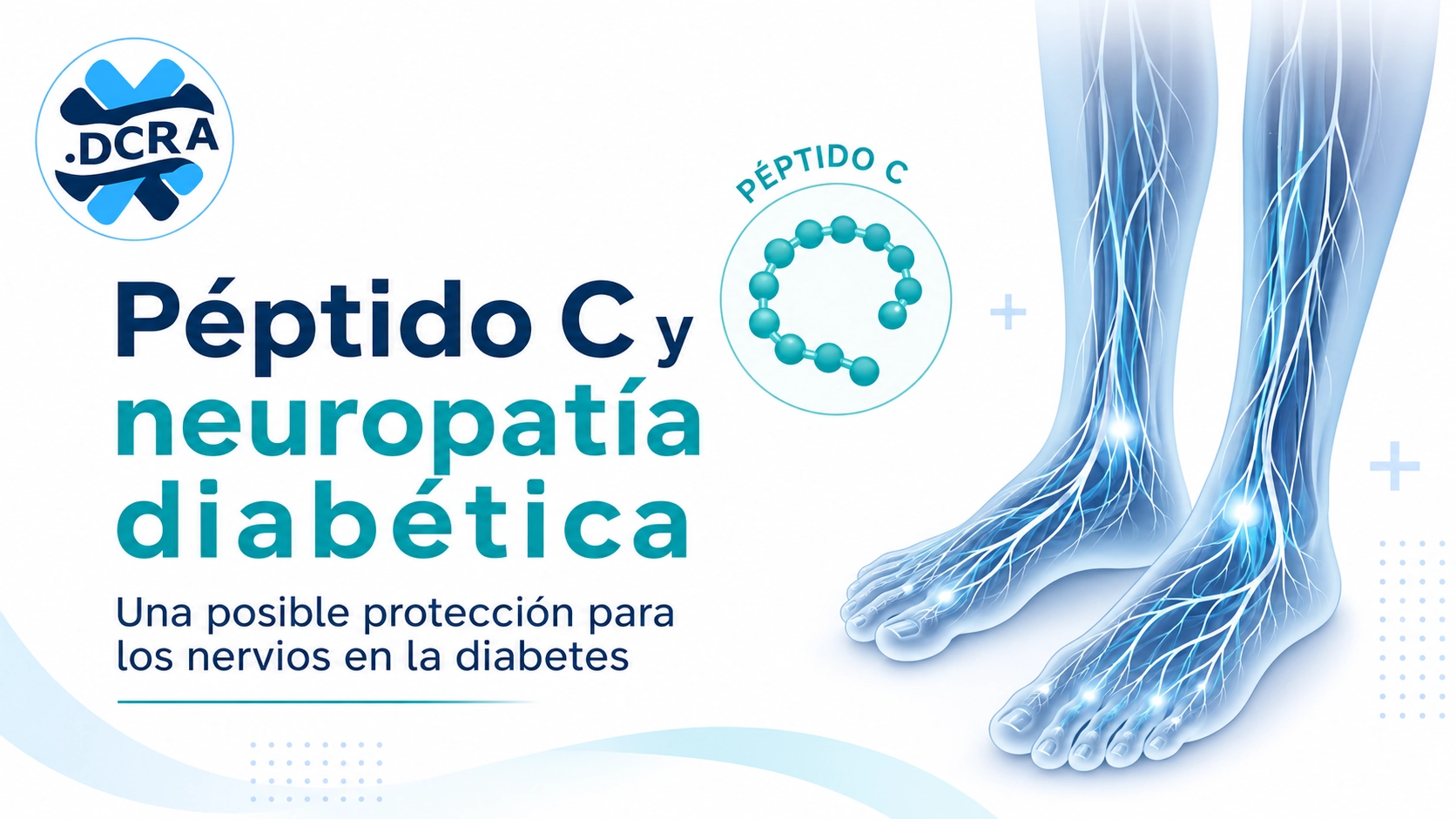 Péptido C y neuropatía diabética