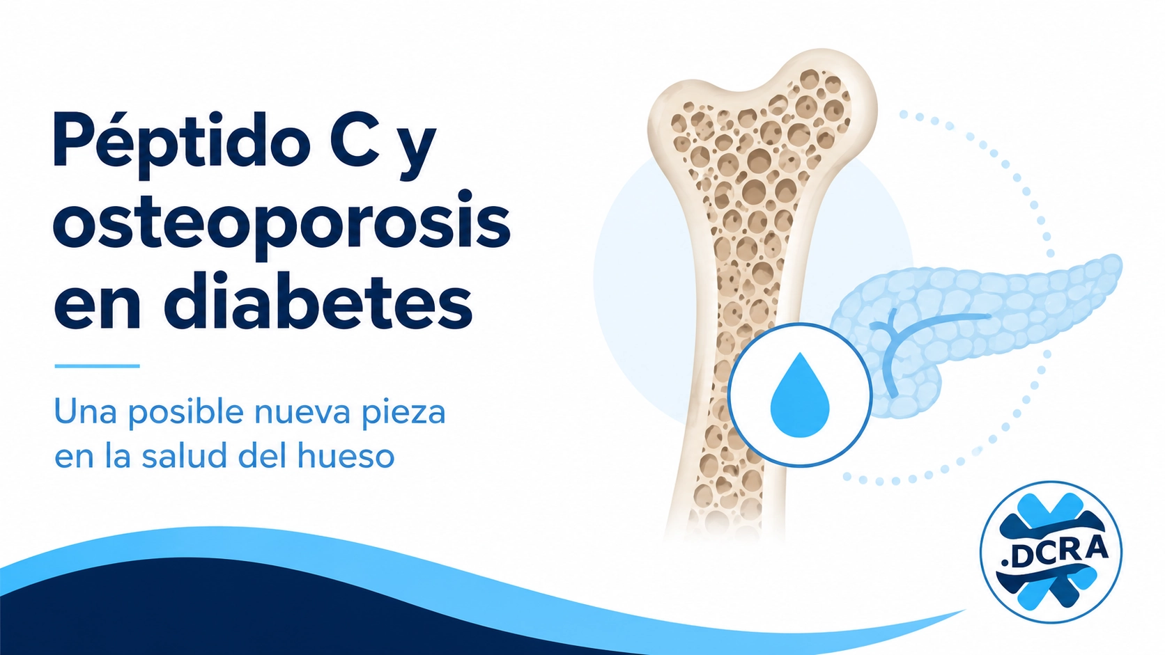 Péptido C y osteoporosis